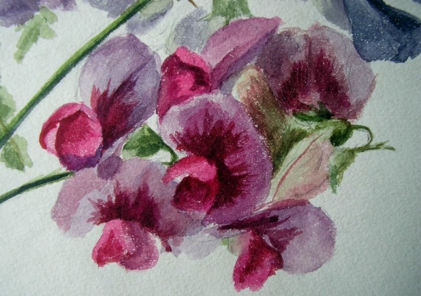 FINE ANTIQUE PAINTING c1880 SWEET PEA FLOWERS PURPLE  