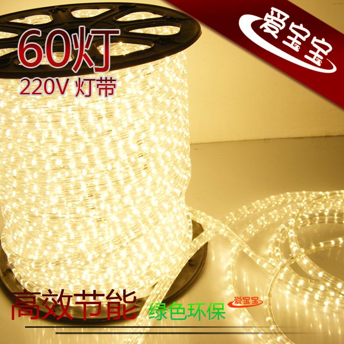 Led Flexible Strip SMD 5050 60Led/m Input 220V AC IP68  