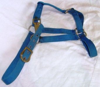 Lot of 3 Nylon Horse Halters 2 Blue 1 Brown  