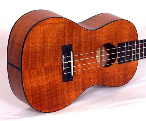 KALA KA CEM Exotic Flamed Mahogany Concert Uke Ukulele  