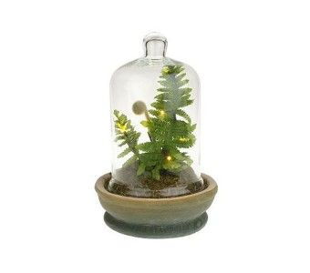 Bethlehem Lights Battery Operated 12 Potted Bell Jar Fern  