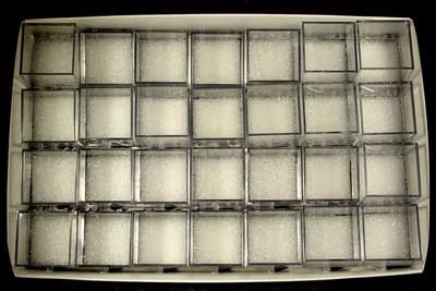 Set 28 1 Plastic THUMBNAIL DISPLAY BOXES w/Styrofoam I  