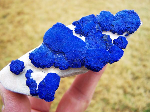   Blue Azurite Suns on Kaolinised Siltstone, Australia AZSun137  