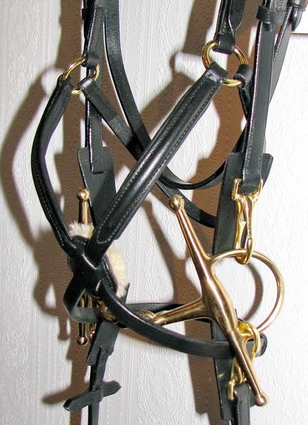 FSS German PADDED Mexican Grackle Figure 8 Noseband NEW  