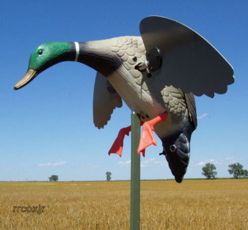   MOJO MALLARD DRAKE SPINNING WING DUCK DECOY NEW 816740001890  