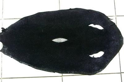 BLACK GENUINE STINGRAY SKIN LEATHER HIDE PELT 9x17 A  