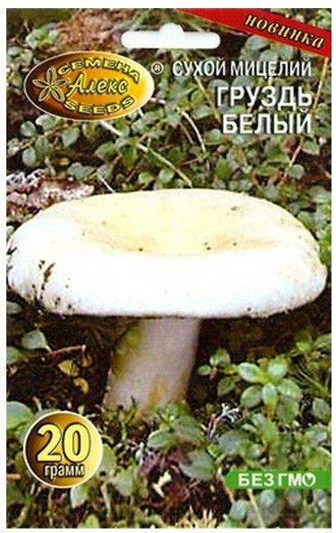   KIT SPORES MYCELIUM Груздь Белый GROWING PACK PRINT  