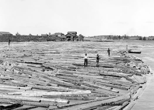 Northern Michigan Lumberjacks Logging Logs 1910  