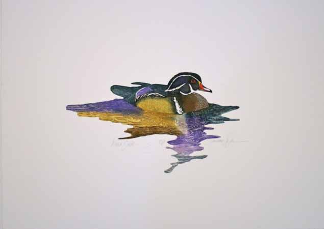 Signed Wood Duck Decoy Etching by Larry Snyder  