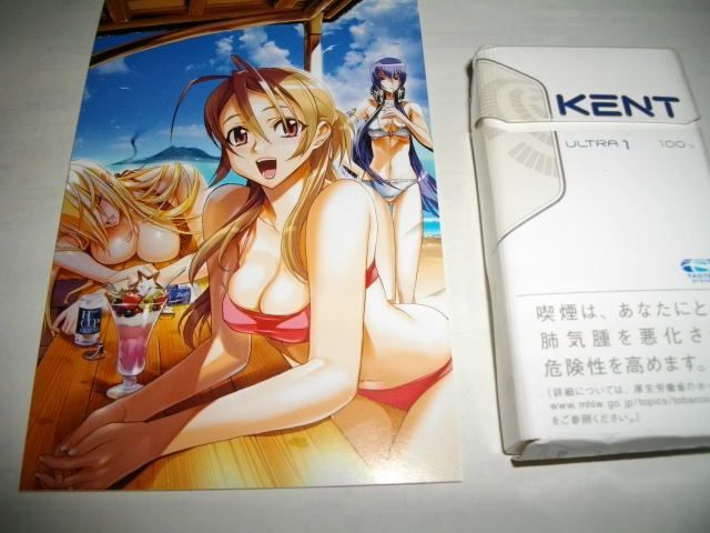 HighSchool of the Dead 4 postcards Sato shoji HOTD (B)  