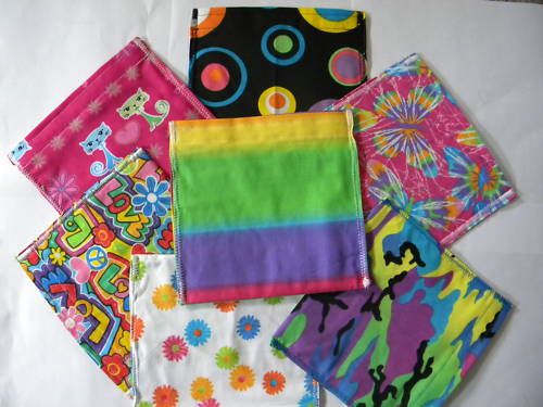 Reusable Sandwich Bag ~ Eco Friendly ~ Bright & Cheery  