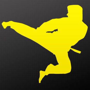 Karate kick Decal Sticker Martial Fighting Art ZK9RS  