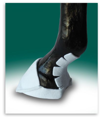 10 Horse Hoof Caps Protect foot and simplify treatment  