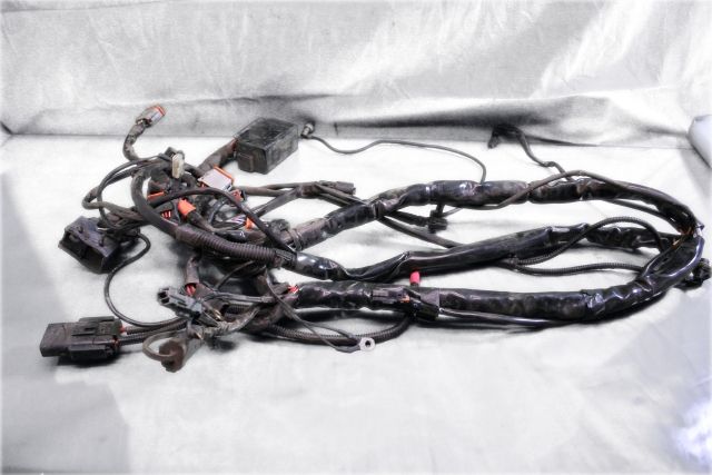 2005 Harley Davidson FLHX Touring Main Wiring Harness Road Glide 70985 