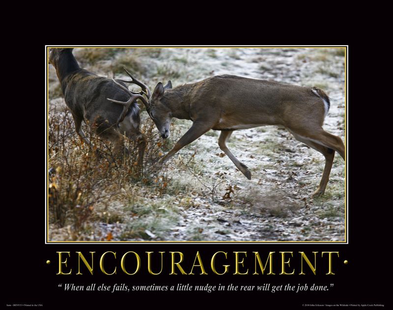 ENCOURAGEMENT WHITETAIL DEER POSTER, DEER SHEDS, DENV53  